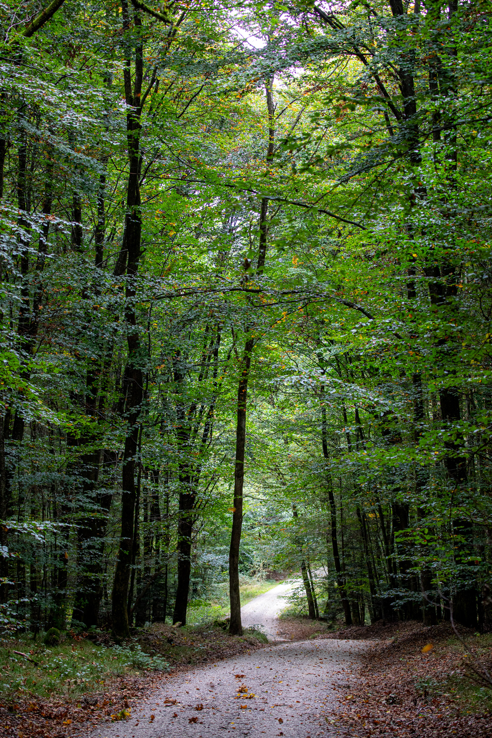 20231014102154 RD4 4674